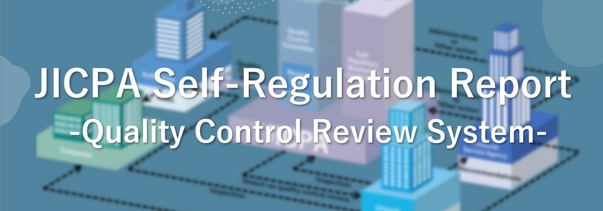 Quality Control Review System