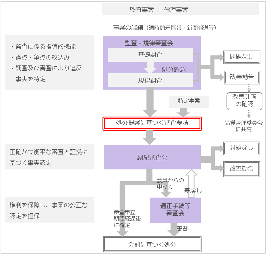 個別事案審査の全体像